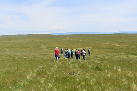 Citizen scientists head to vernal pool sites.