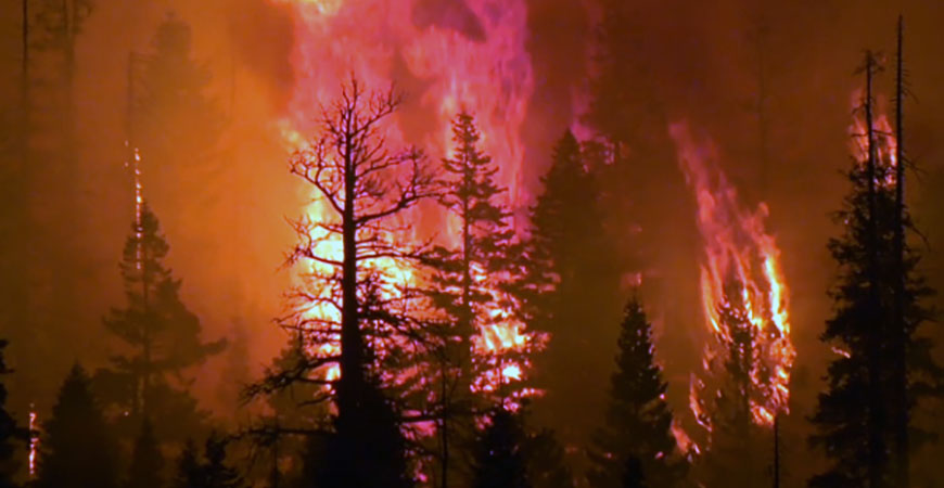 A forest fire is pictured in a photo from 