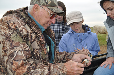 Joy McDermot, center, works with other researchers to study the kestrels on the nature reserve next to campus.