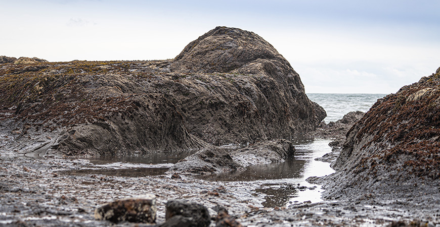 Two engineering professors and a graduate student received a grant from NASA to study how wildfires alter changes in carbon and sediment along California’s coastline.